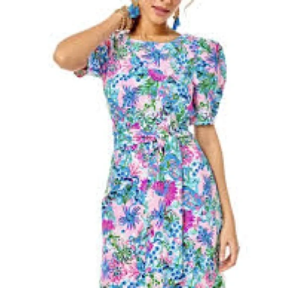Lilly Pulitzer Harriet Dress XL - Picture 1 of 2